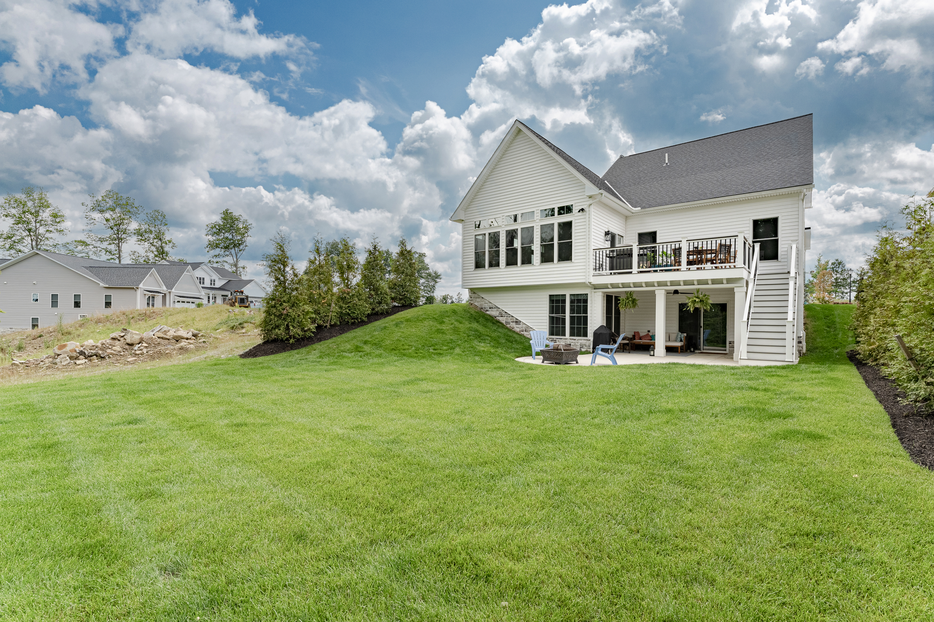 Daisy — photo 5 of 6