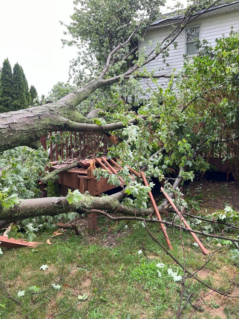 Tree Strike — Large tree fell on home — structural repair and restoration